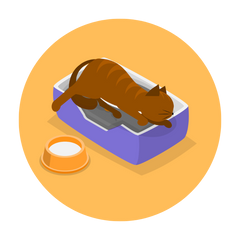 Collection image for: Dieren