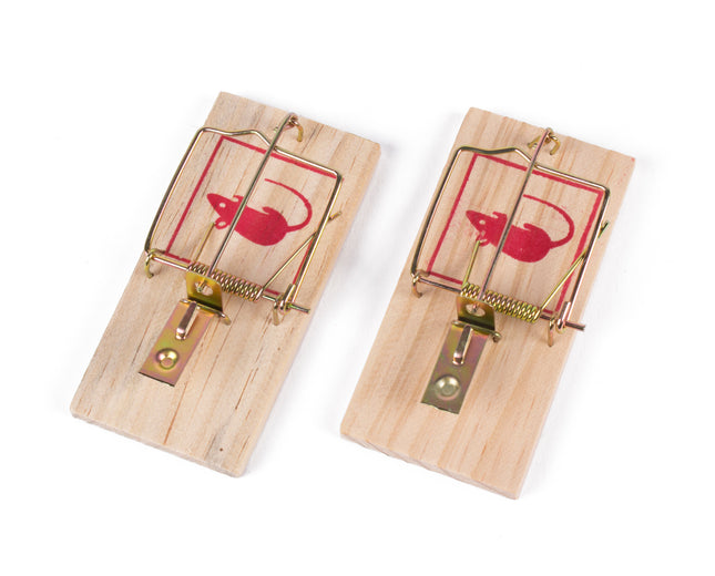 Muizenval – set van 2