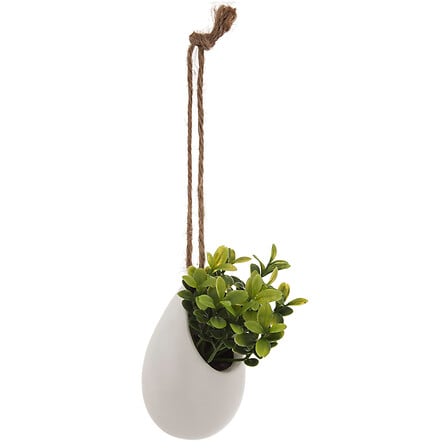 Mini-plant 11 cm hoog met keramische pot