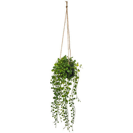 Hangplant Blush living 10,5 cm hoog met cementpot