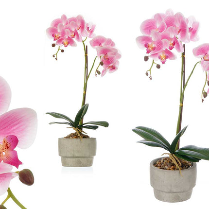 Cement terracotta pot – Roze – Met 2 stokjes