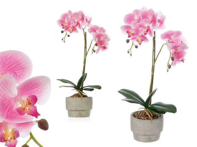 Cement terracotta pot – Roze – Met 2 stokjes