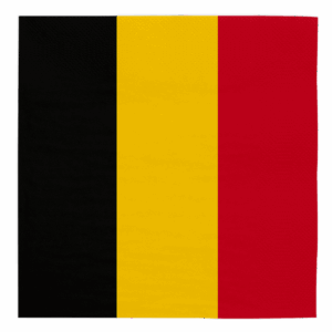 20 papieren servetten België 3-laags 33 x 33 cm