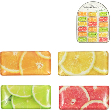 Magneet fruit vitaminekick 5,8 cm – assorti